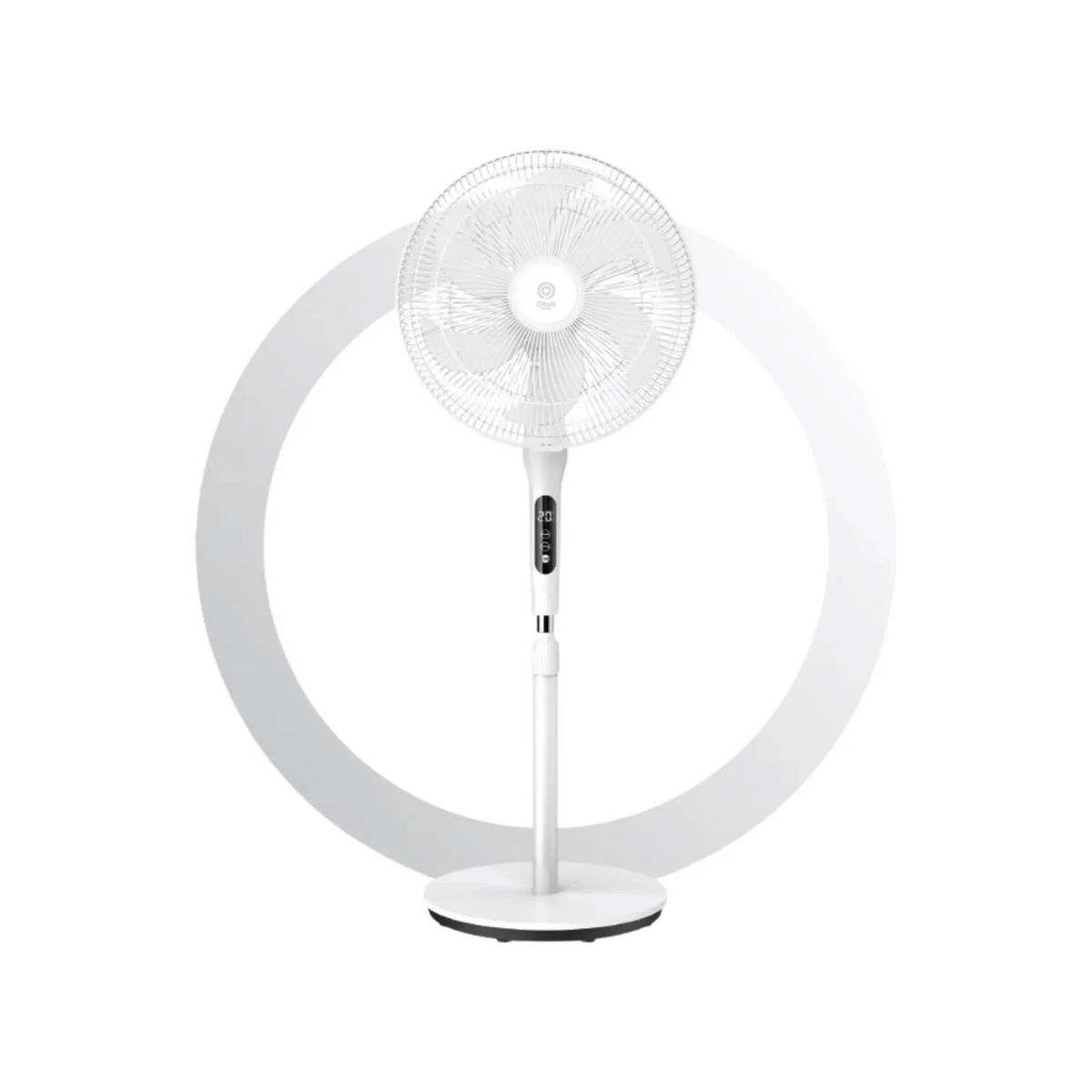 First slide